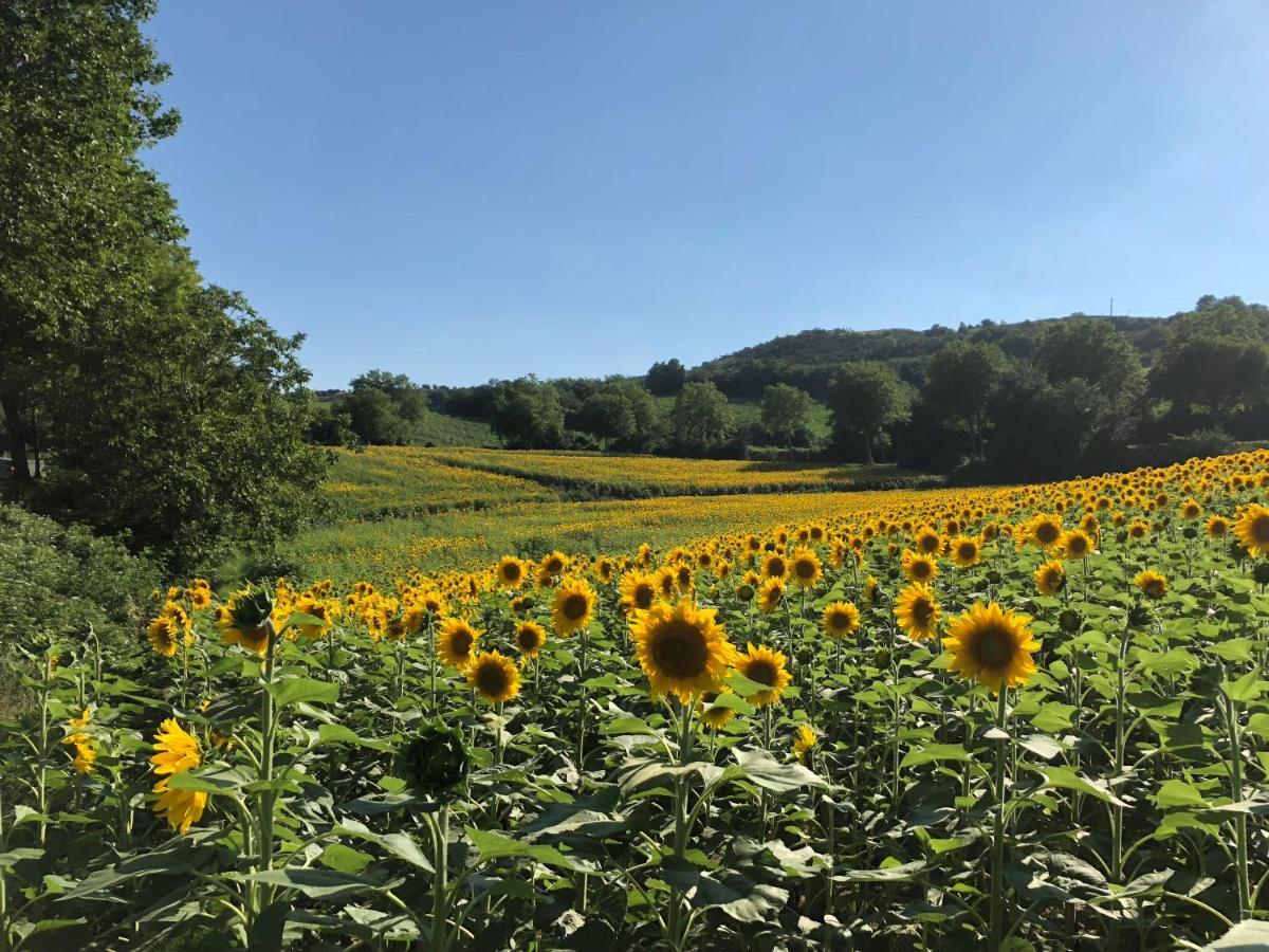 Le Grenier Occitan Bed & Breakfast Gramazie Dış mekan fotoğraf
